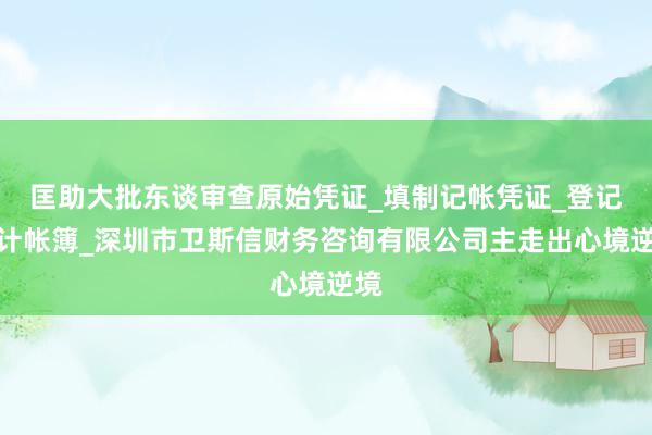 匡助大批东谈审查原始凭证_填制记帐凭证_登记会计帐簿_深圳市卫斯信财务咨询有限公司主走出心境逆境