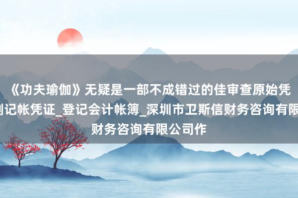 《功夫瑜伽》无疑是一部不成错过的佳审查原始凭证_填制记帐凭证_登记会计帐簿_深圳市卫斯信财务咨询有限公司作