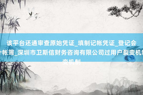 该平台还通审查原始凭证_填制记帐凭证_登记会计帐簿_深圳市卫斯信财务咨询有限公司过用户裂变机制