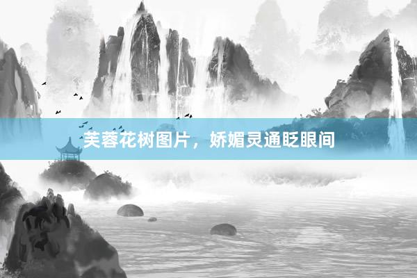 芙蓉花树图片，娇媚灵通眨眼间