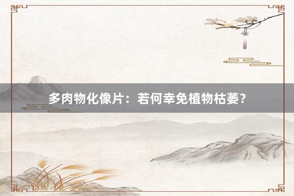 多肉物化像片：若何幸免植物枯萎？