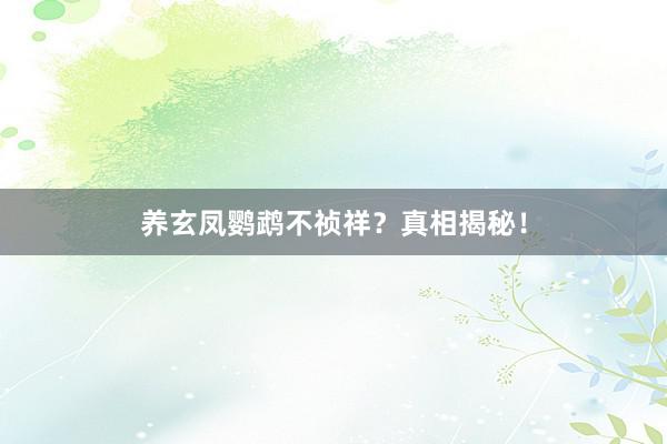 养玄凤鹦鹉不祯祥？真相揭秘！